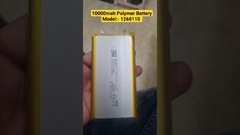 #10000mah pin polymer